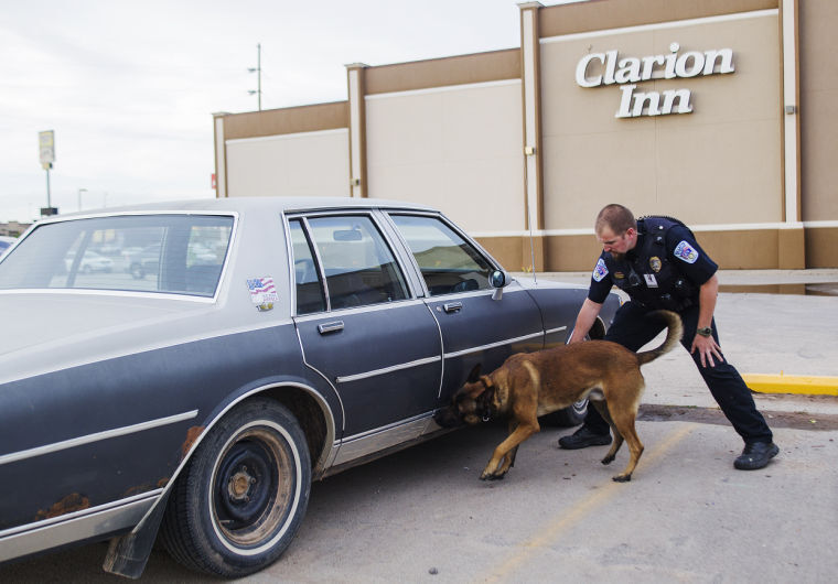 K9 Duke